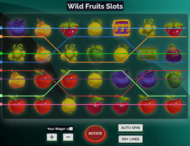 Wild Fruits Slot Machine
